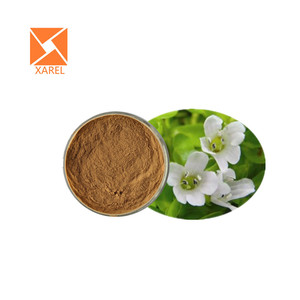 Halal groothandelsprijs fabriekslevering topkwaliteit saponine Bacopa Monnieri <span class=keywords><strong>extract</strong></span> poeder 10:1 - Product Image 1