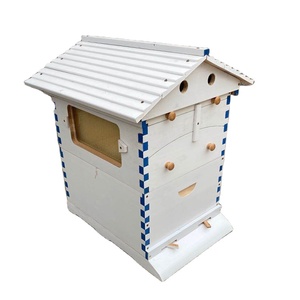 Factory Supply Australian Auto Beehive Honey Bee Box for Sale Automatic Wood Bee Hives - Product Image 6
