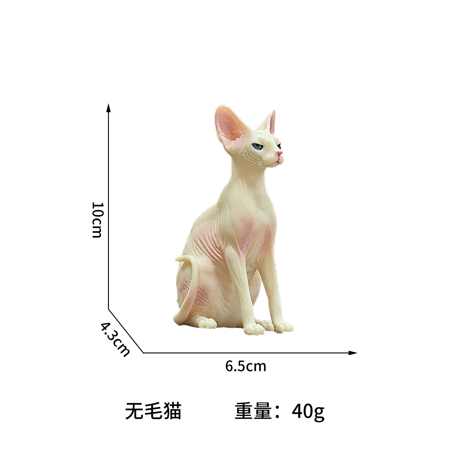 Chat Sphynx