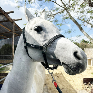 缝制皮革马笼头，钢扣，可调节下巴和喉咙按扣笼头，快速释放 - Product Image 5