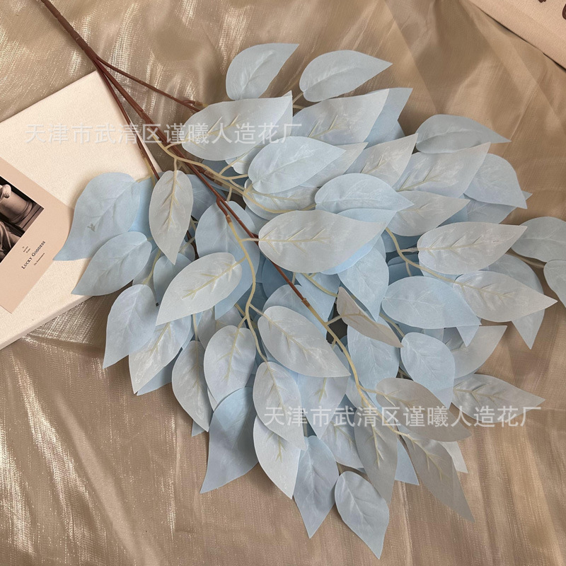 Un petit bouquet de feuilles d'hibiscus