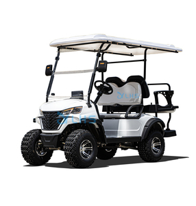 DOT Certification 2 Seats Golf Buggy/Community Use Electromagnetic Lifted Hunting Car/Large Heightened Golf Cart for Sale - Product Image 1