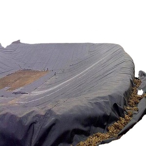 <strong>HDPE</strong>/LDPE Waterproof Outdoor Geomembranes 0.2-3.0mm Thickness 27Mpa Industrial Design Plastic/EVA/LDPE/PVC for Fish Ponds 1mm