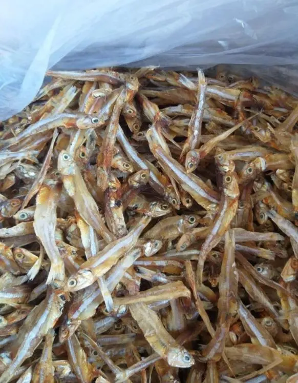 Anchoa seca/espadines secos/Pescado cocido seco (Whatsapp + 84 91 850 9071), venta al por mayor