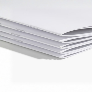 Eco-Friendly Saddle-Stitch <strong>Booklets</strong> Offset Printing <strong>Booklet</strong> for School Manuals and Business Use - Product Image 5