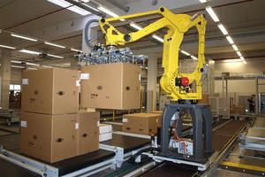 Robot Industrial Pinza Brazo Apilador Transportador Paletizador Pallet Robot Systems Personalizado - Product Image 6