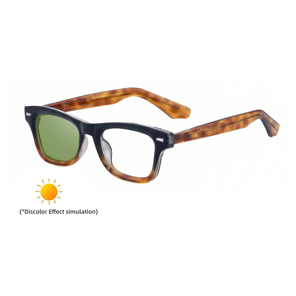 C4 Black Brown Tortoise Turn Green