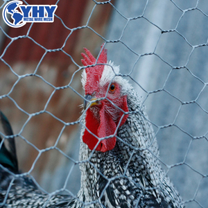 Galvanized Chicken Wire Mesh <strong>Hexagonal</strong> Wire <strong>Netting</strong> for Chicken Cage Frame - Product Image 5