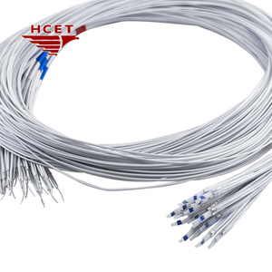HCET PT100 Kleiner Temperatur sensor - Product Image 2