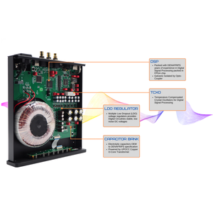 Denafrips IRIS 12th DDC USB <strong>Digital</strong> Interface External Clock <strong>Input</strong> Coaxial AES/EBU I2S IIS RJ45 DSD512 USB I2S Only <strong>Output</strong> - Product Image 3