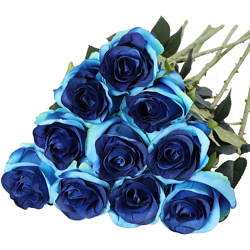 #17 bleu dégradé