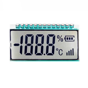 7-Segment-VA-LCD-Display zur Anzeige von Temperatur tests am Induktion sherd mit segmentiertem Segment-LCD-Display - Product Image 1