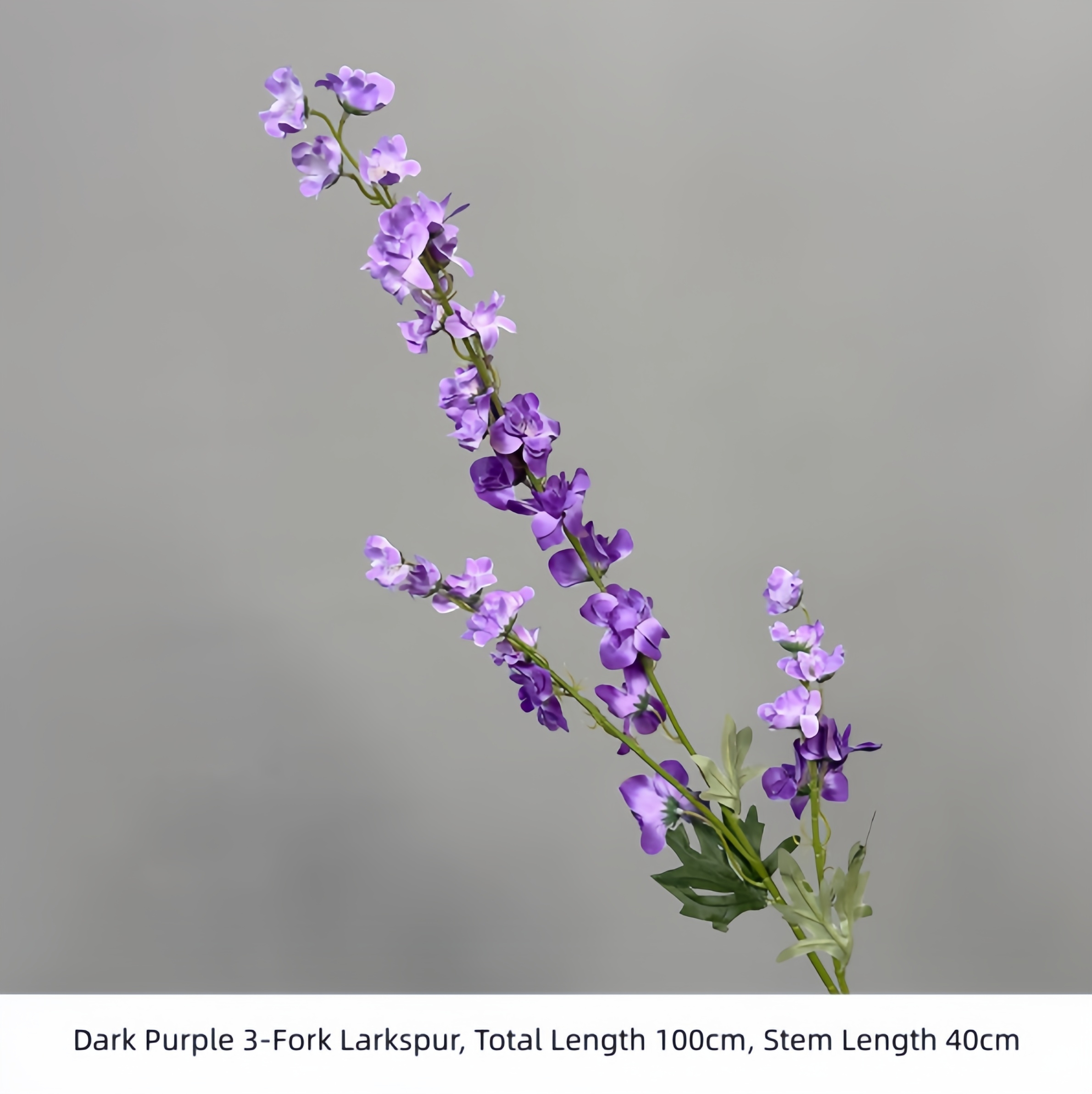 Larkspur de 3 tenedores de color morado oscuro