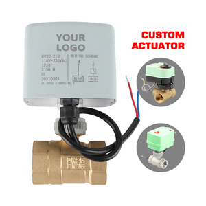 Трехпроводный двигатель постоянного тока с двойным управлением DC12V на DC24V Электрический драйвер с двухходовым шаровым клапаном DN15 - Product Image 4