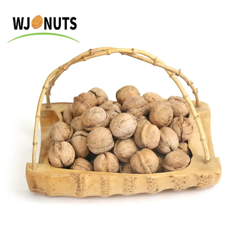 China Shaanxi Freshest 100% Natural Bulk Walnuts With Thin Shell