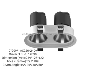モダンIP65防水2x 7W/<span class=keywords><strong>2x10W</strong></span> Cobチップアルミボディ<span class=keywords><strong>LED</strong></span>ダウンライト屋内用両面長方形ライト