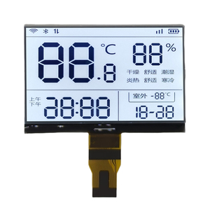 FSTN 3-Zoll-LCD-Bildschirm Segment code Bildschirm 256*160 Punkte Matrix bildschirm trans flektives LCD-Modul - Product Image 1