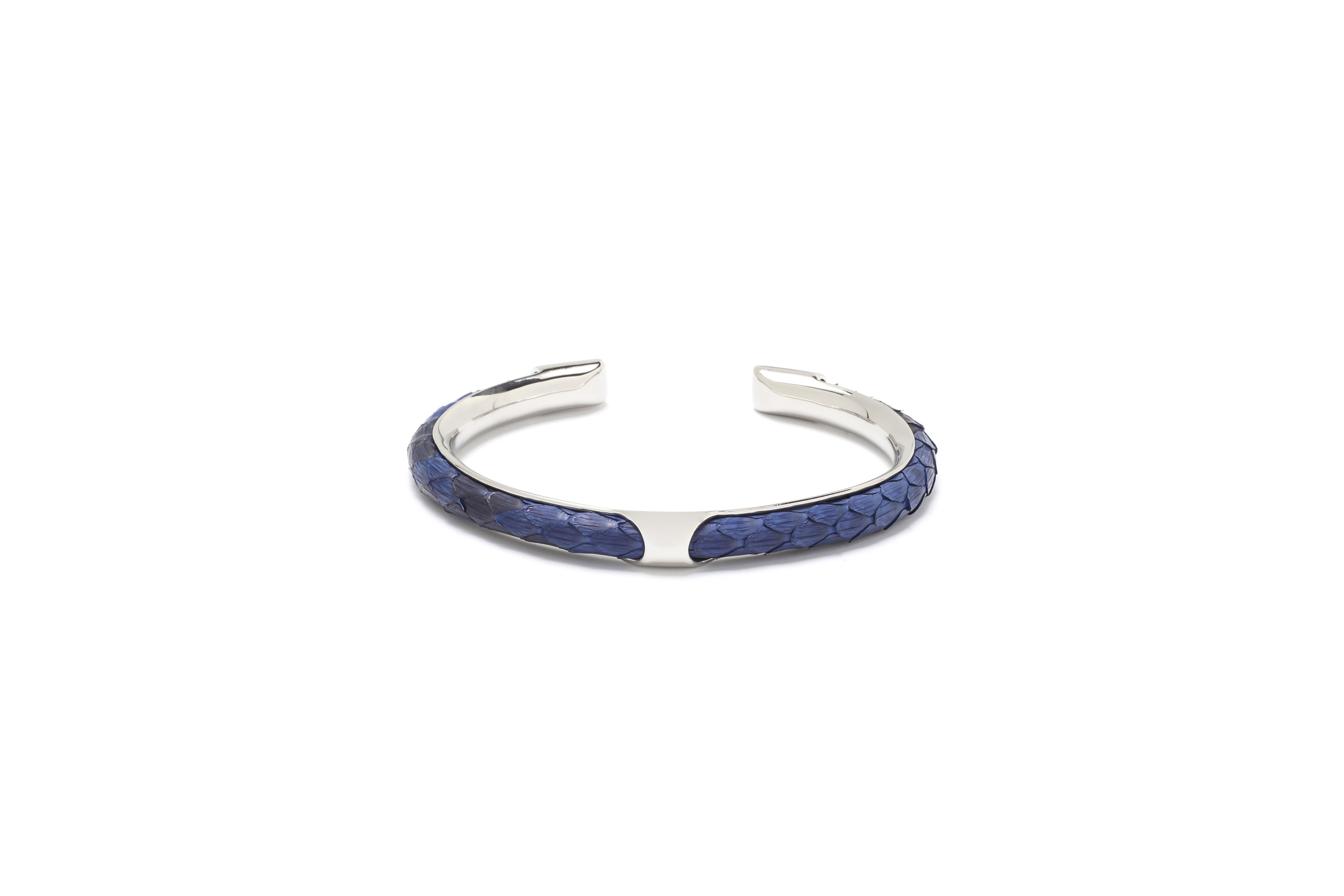 Python bleu avec argent