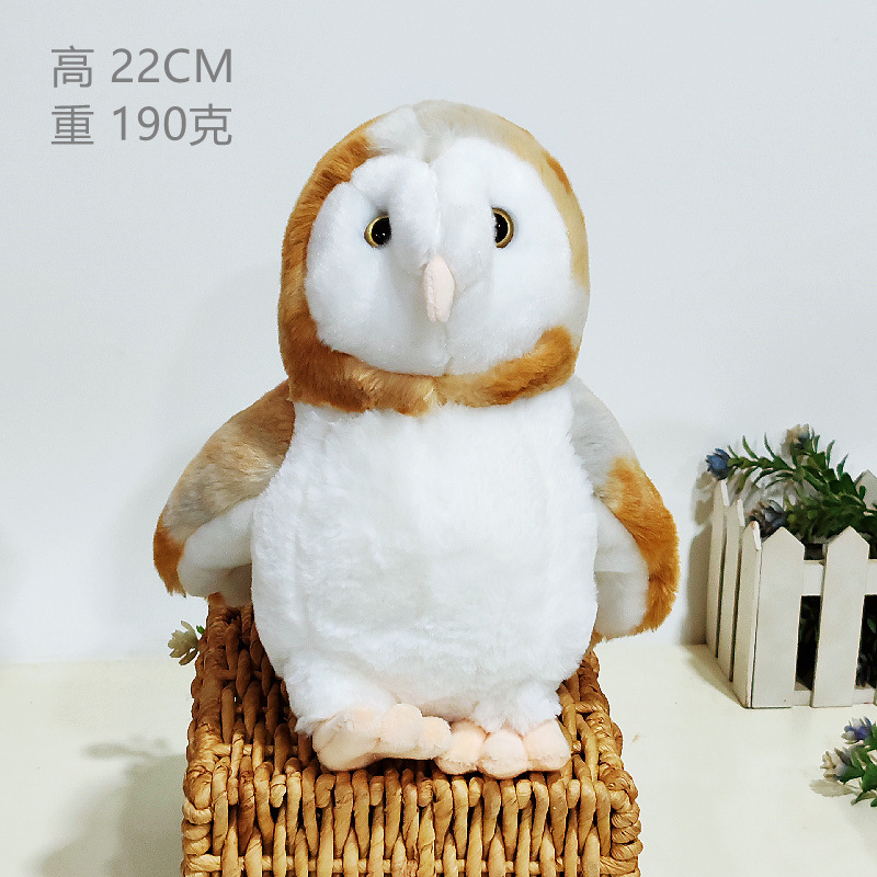 Barn owl