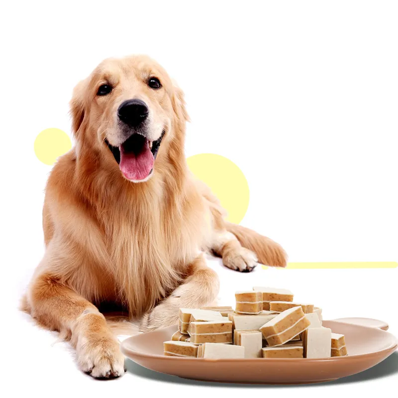 Amuse-en-cas sandwich pour chien et saumon, produit nutritif pour animaux de compagnie, vente en gros, le meilleur accessoire pour chien