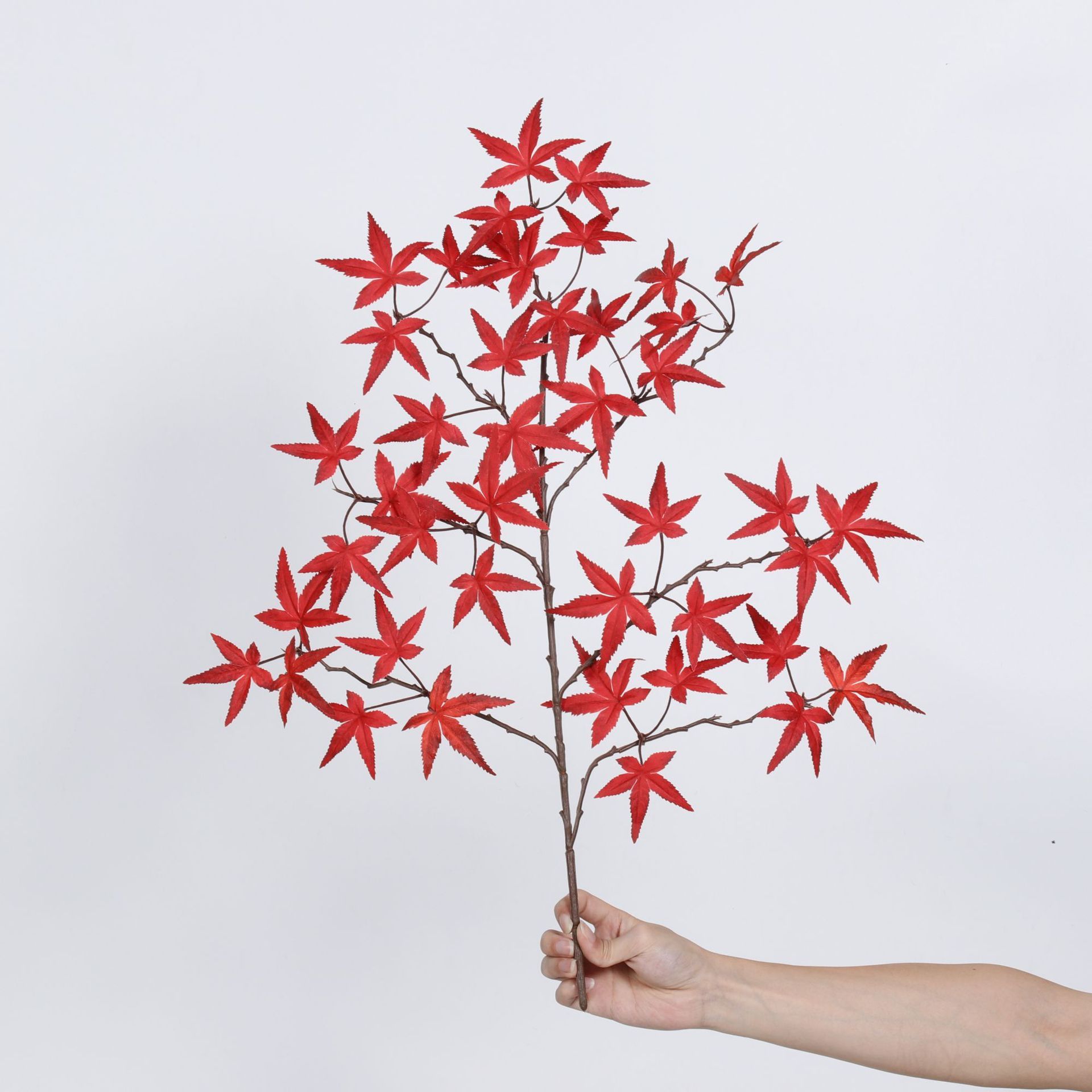 Feuille d'érable plate miniature (feuille d'arbre)