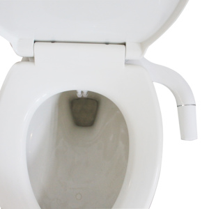 OEM/ODM Großhandel Doppel düse ABS WC Bidet für Badezimmer Selbst reinigende Düse Süßwasser Günstige Einfache Bidet