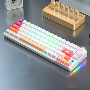60% การฉีดขึ้นรูปสองสีแป้นพิมพ์แบบกลไกสำหรับเดสก์ท็อปปุ่มหมุน RGB 66คีย์สำหรับเล่นเกม - Product Image 6