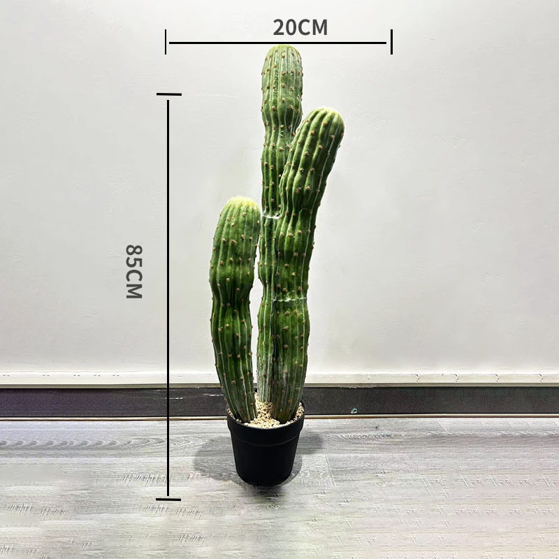 85cm