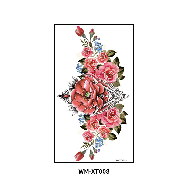 WM-XT-008