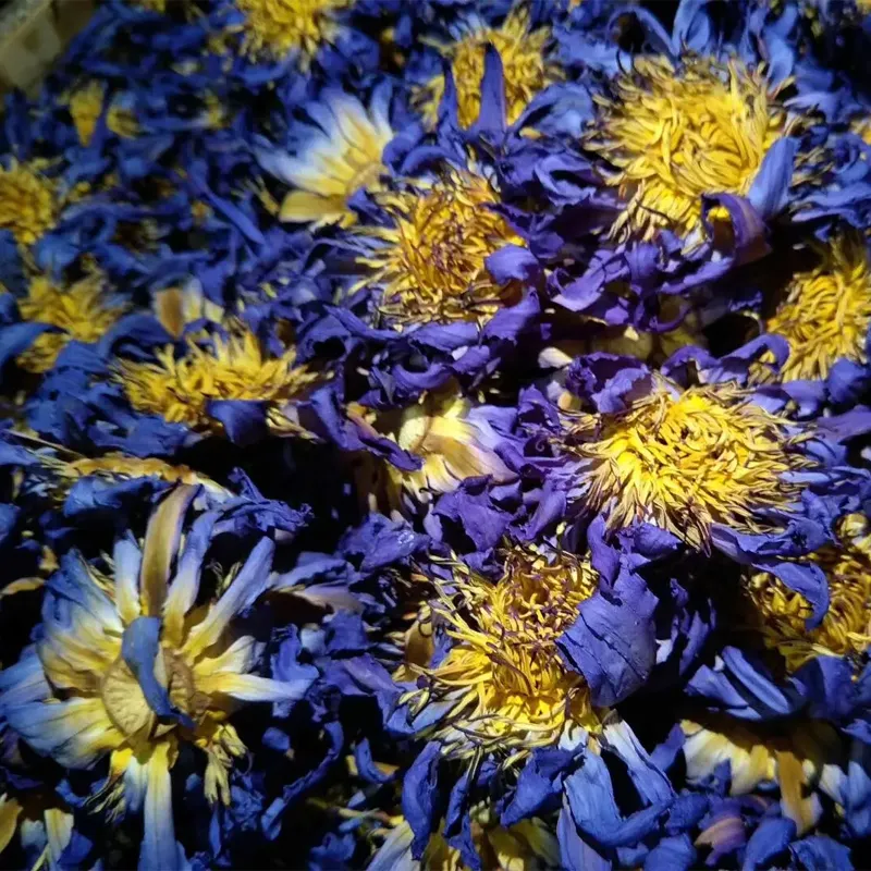 Trockener Blumen tee hochwertiger blauer Lotus Lan Lian Hua trockene Teeblätter, te de loto azul