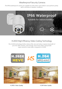 LOOSAFE 8CH 2MP Poe CCTV-Sicherheitskuppel-Kamera überwachungs system mit Ptz