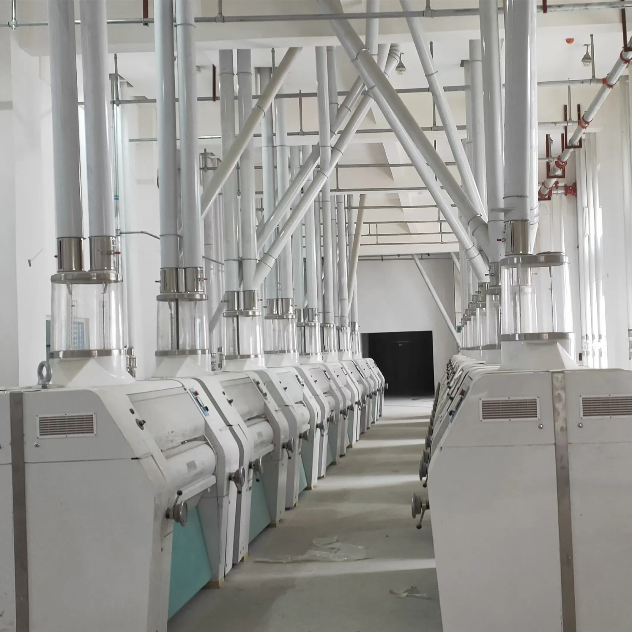 Set completo 300TPD macchina per la macinazione del grano di grano per produrre l'impianto di macinazione automatico della farina di grano della fabbrica di farina