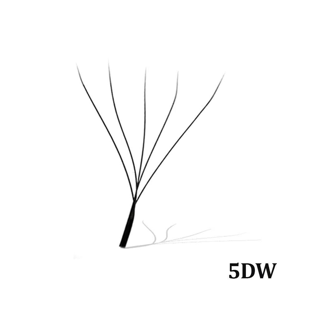 5DW
