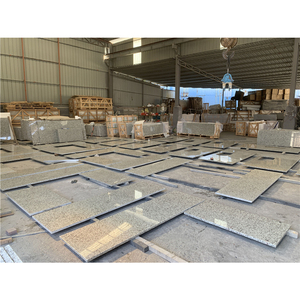 לחתוך בגודל מטבח גרניט קוורץ השיש Bala לבן צמרות יהירות משטחי מטבח למטבח חדר רחצה - Product Image 6