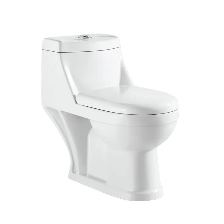 Medyag निर्माता अपनाना सेनेटरी वेयर डब्ल्यूसी Inodoro पट्टा 300mm लम्बी एक टुकड़ा दोहरी फ्लश Siphonic शौचालय
