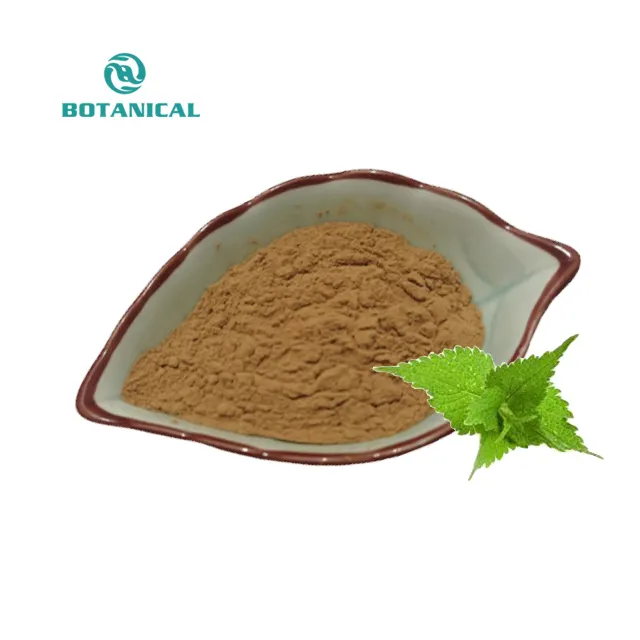 B.C.I Supply Herbal Products Wholesale Supply Stinging Nettle Leaf Extract Silica Organosilicone 7%