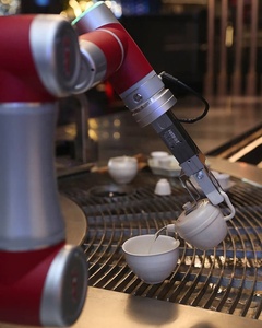 Fast Food Braccio Efort Fanuc Arduino 6 Assi Industriale Robot Giunto Anno Clicbot Robot Kuka - Product Image 2