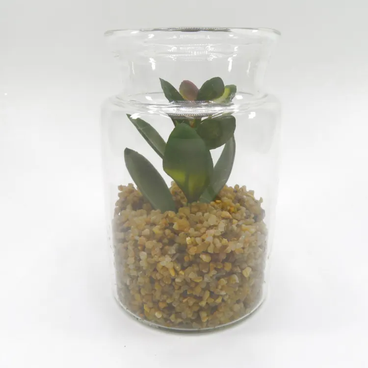 Plantas suculentas de vidrio artificial en macetas geométricas para decoración de la casa