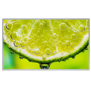 Monitor LCD para exteriores, 10,1 pulgadas, alto brillo, 1000 liendres, pantalla Industrial, luz solar legible, pantalla IPS, Monitor de alto brillo - Product Image 1