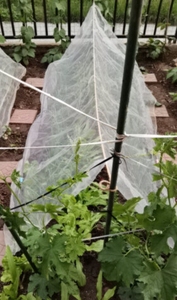 50 <strong>Mesh</strong> 10 square Insect Proof Net, UV Resistant, Corrosion-resistant, Windproof, Multi-purpose