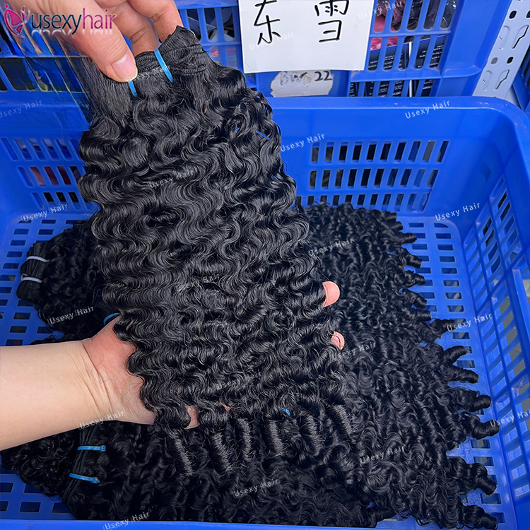 burmese curly