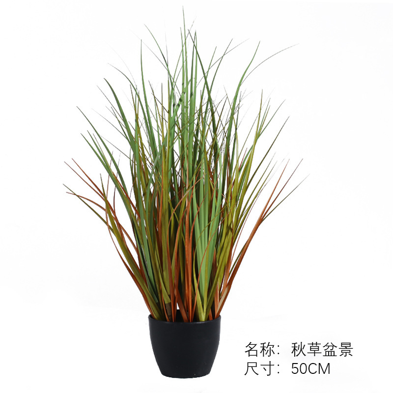 Bonsaï d'herbe d'automne 50CM