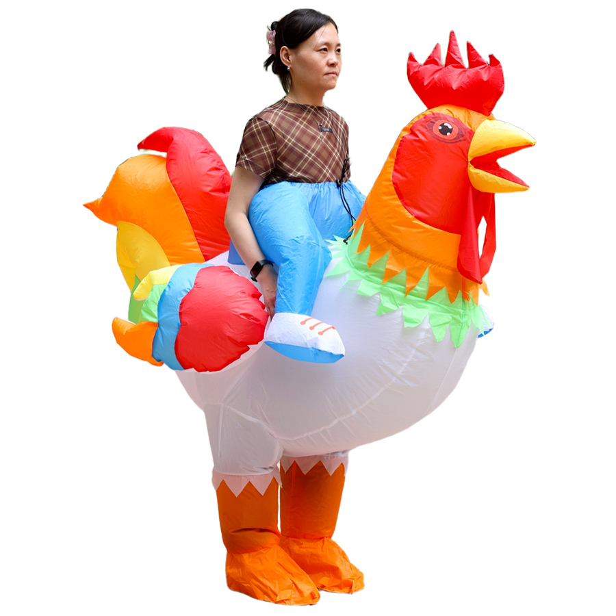 ZW-209-A-หลากสี