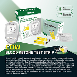 Itgen Nauwkeurige Bloedglucose Teststrips Ketonmeter Kit De <span class=keywords><strong>Test</strong></span> Rapide Runder - Product Image 4