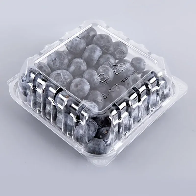 Boîte en plastique d'emballage de fruits frais avec trous Récipient à clapet en plastique perforé de taille personnalisée pour myrtille cerise PET 125G