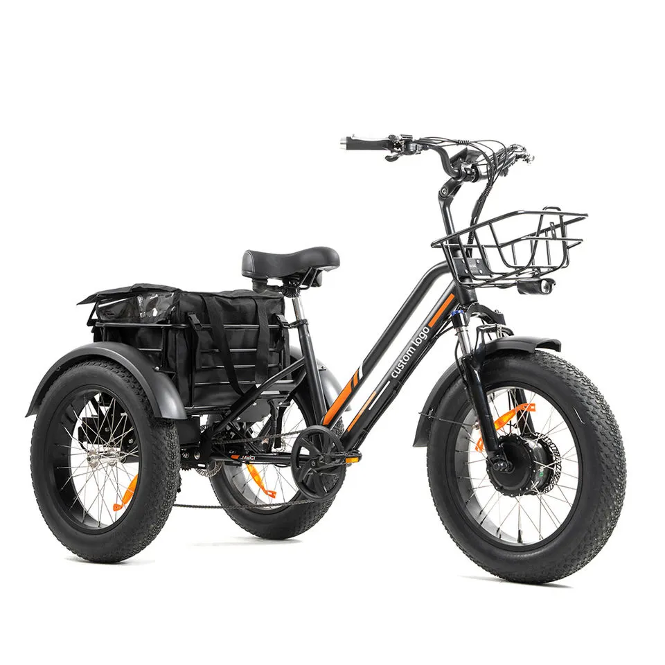 20 Zoll Triciclo Electric Trike 750W Motor Fat Reifen 3 Rad E Fahrrad Dreirad Dreiräder Adult Cargo E-Bike mit Korb
