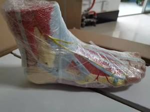 Yüksek kaliteli ayrılabilir insan ayak kas anatomik modeli ile kan damarları ve sinirler 9 parçaları - Product Image 5