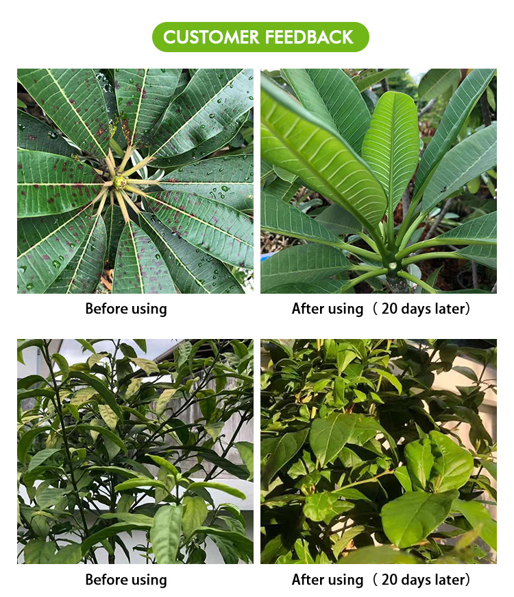 HiBong 100% Water Soluble Industrial grade sulfate Magnesium Sulphate Heptahydrate