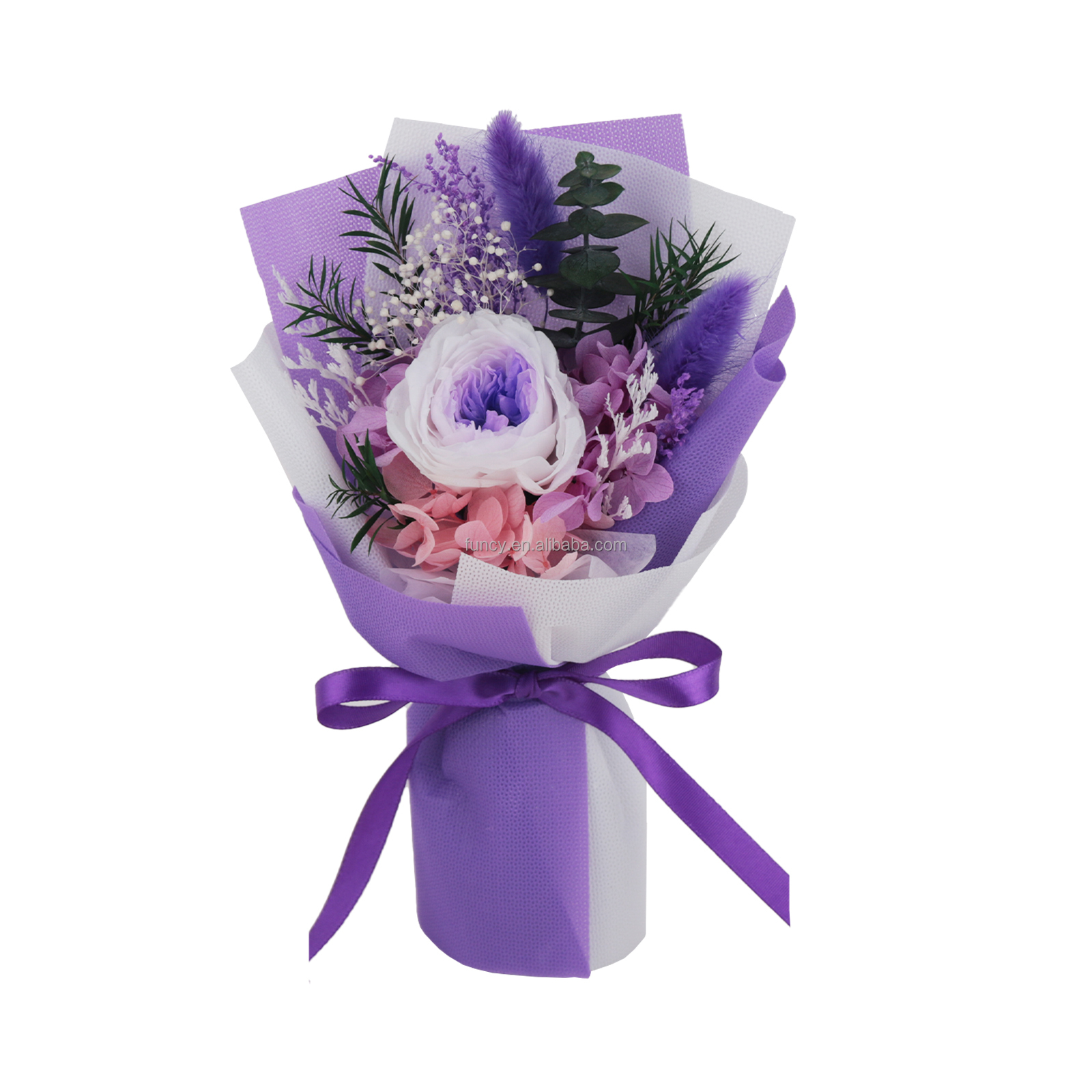 Violet 2