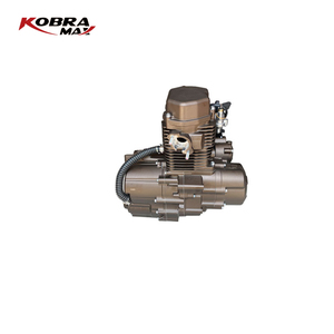 250cc 1 Cylinder Motorcycle <strong>Engine</strong> and Other Motorcycle <strong>Engines</strong> for Lifan Motorcycle <strong>Engine</strong> - Product Image 3